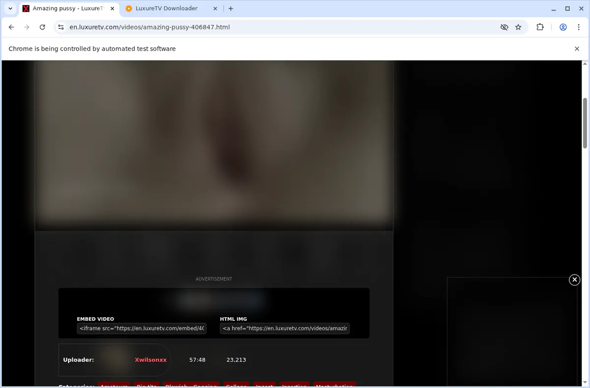 LuxureTV Video Downloader browser extension screenshot 3